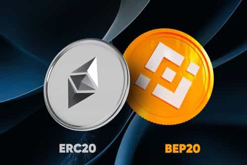 ERC20 and BEP20 are the two most famous token standards