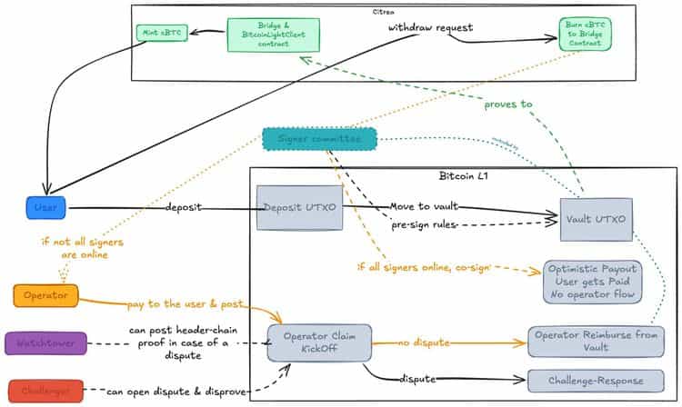 Clementine Design and Roles